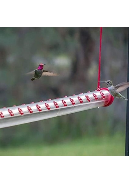 40 cm Hummingbird Besleyici Kuş Besleyici Delikli Şeffaf Tüp Kuş Besleyici Kırmızı Şeffaf Tüp Bahçe Ev Dekorasyon Için Uygun | Kuş Beslemesi (Yurt Dışından)