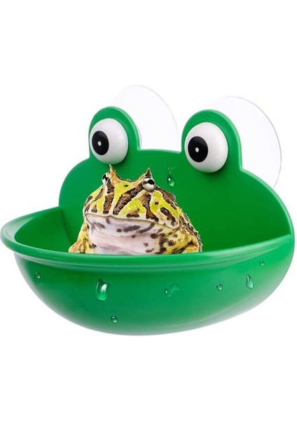 Amfibi Sucul Kurbağa Habitat Sevimli Balık Tankı Dekorasyon Kurbağa Toad Gecko Tadpole Kaplumbağa ve Küçük Sucul Hayvanlar Için Uygun | Habitat Dekorasyonu (Yurt Dışından)