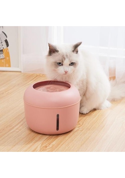 2.5l Otomatik Kedi Su Çeşmesi Köpek Su Dağıtıcı Pet Köpek Kediler 2 Filtre Kutusu ile Otomatik Dolaşan Su Dağıtıcısı | Kedi Besleme ve sulama Malzemeleri (Yurt Dışından) fiyatları