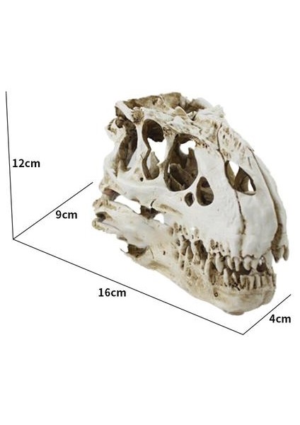 Tyrannosaurus Rex Kafatası Mağı Peyzaj Dekorasyon Balık Tankı Reçine Dinozor Kafatası Modeli Süslemeleri Ev Dekor | Süslemeleri (Yurt Dışından) modelleri