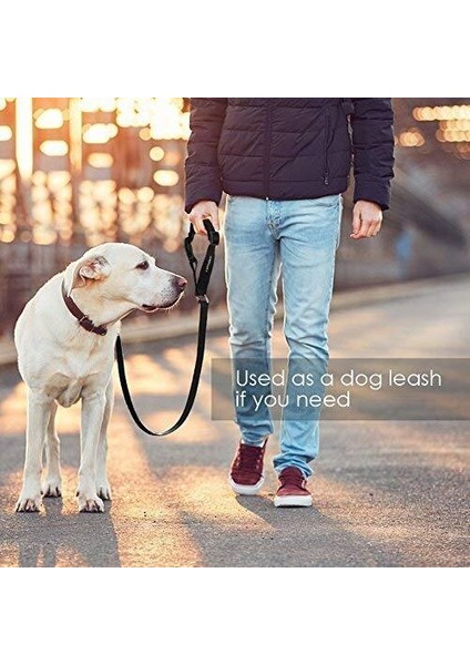 Kafalık Köpek Araba Emniyet Kemer Anti Şok Elastik Bungee Tampon Ayarlanabilir Dayanıklı Kafalık Emniyet Kemeri Pet Köpek Araba Emniyet Koşum Kısıtlama? 2 Paket (Yurt Dışından) modelleri