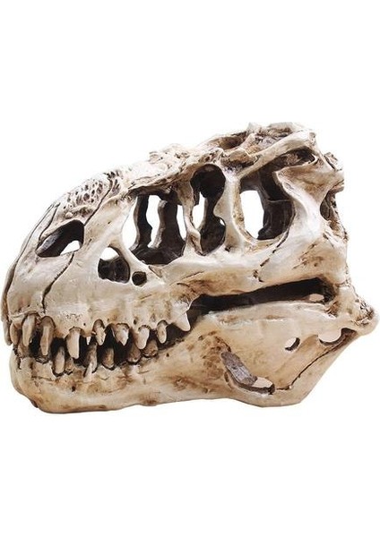 T Rex Kafatası Dinozor Reçine Zanaat Hediyeler Ev Dekorasyonu Çoğaltma Balık Tankı Heykeli Tyrannosaur Kafatası Iskelet Akvaryum Dekorasyon | Süslemeler (Yurt Dışından)