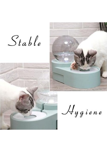 Pet Kabarcık Otomatik Kedi Su Çeşmesi Evcil Hayvanlar Için Su Dağıtıcı Büyük Içme Kase Kedi Içecek 1.8l Elektrik Yok | Kedi Besleme ve sulama Malzemeleri (Yeşil) (Yurt Dışından) fiyatları