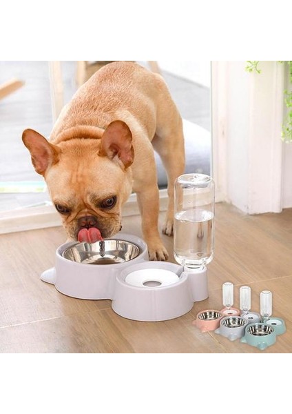 Pet Çift Kaseler Otomatik Gıda Besleyici Su Çeşmesi Köpek Cat Dağıtıcı Için Islak Ağız Yok | Köpek Beslemesi (Yurt Dışından) fiyatları