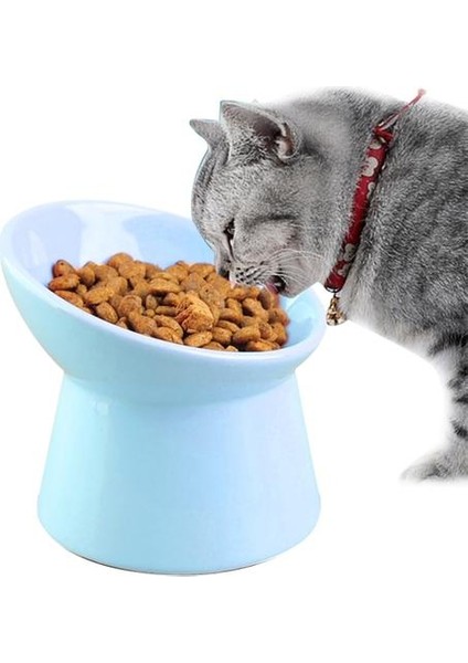Köpekler Için Kase Yükseltilmiş Pet Kase Boyun Koruma Seramik Kedi Kase Kedi Su Kase Köpek Aksesuarları Için Kediler Köpekler Kitaplar | Köpek Besleme (Mavi) (Yurt Dışından) fırsatları