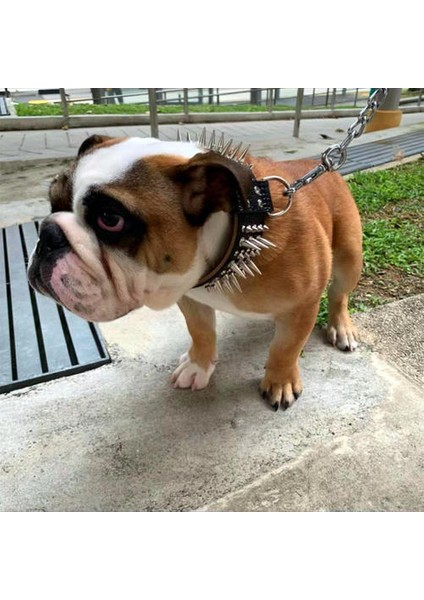 Köpek Bite Yaka Moda Zorba Köpek Malzemeleri Pitbull Bulldog Tasma Için Büyük Köpek Perçin Stil Yaka Yağlı Yavru Yavru Yavru | Yaka (Yurt Dışından) modelleri