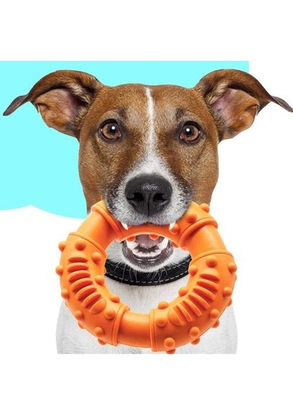 Pet Bite Geçirmez Squeak Çiğneme Topu Kauçuk Ses Büyük Köpekler Için Eğitim Komik Pet Kauçuk Çiğnemek Büyük Köpeklar Rastgele Gönderilir | (Yurt Dışından)