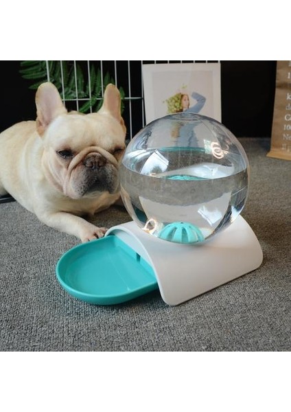 Kabarcık Otomatik Kedi Içme Kase Evcil Su Dağıtıcı Hiçbir Elektrik Pet Kedi Köpek Besleyici Çeşmesi Islak Olmayan Ağız Pet Malzemeleri | Kedi Besleme vesulama Malzemeleri (Mavi) (Yurt Dışından) fırsatları