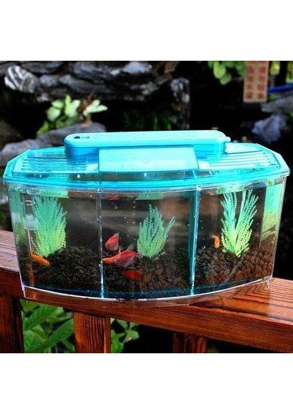 Taşınabilir Akvaryum Mini Balık Tankı LED Işık Balık Akvaryum Tankı Bölücü Filtre Su Ev Dekor Balık Kase Sucul Balık Pet | Akvaryumlar ve tanklar (Yurt Dışından) fiyatları