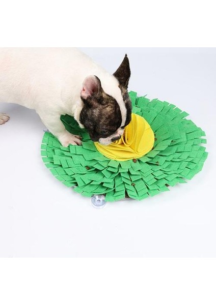 Pet Köpek Snuffle Mat Sniffing Pad Interaktif Gıda Dağıtıcı Stres Yayın Besleme Paspaslar Yavaş Besleyici Bulmaca Oyuncaklar | Çeviklik Ekipmanları (Yurt Dışından)