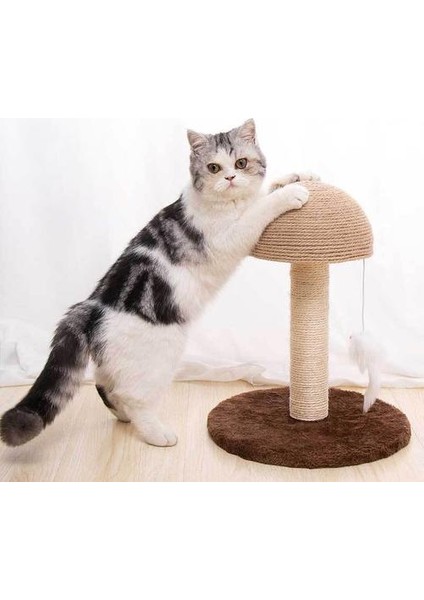Pet Ürünleri Sisal Halat Mili Bir Ahşap Çerçevelar Için Kedi Kıyafetleri ile Kedi Kazıyıcılarlar Için Merdiven Çerçevesi Mantar Fitness Kitty Post | Mobilya veçizikler (Yurt Dışından)