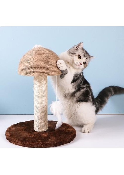 Pet Ürünleri Sisal Halat Mili Bir Ahşap Çerçevelar Için Kedi Kıyafetleri ile Kedi Kazıyıcılarlar Için Merdiven Çerçevesi Mantar Fitness Kitty Post | Mobilya veçizikler (Yurt Dışından) modelleri