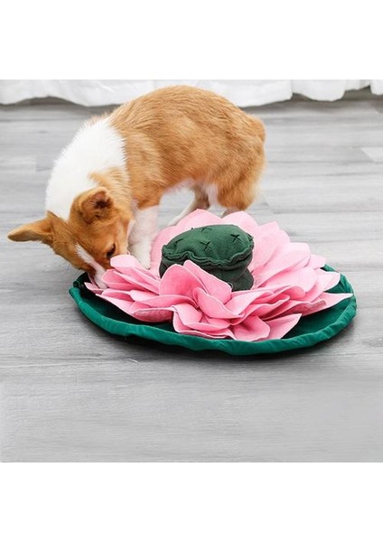 Pet Koklama Mat Snuffle Mat Köpek Köpek Bulmacalar Yavaş Besleme Gıda Mat Köpekler Için Nosework Köpek Kase Mat Kedi Yavrusu Yeni Gelenler | Evler, Kennels &kalemler (Yurt Dışından)