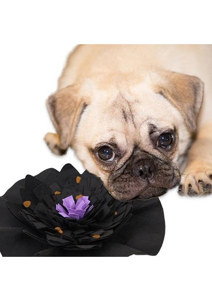Pet Köpek Snuffle Mat Sniffing Pad Battaniye Iq Yavaş Tedavisi Yavaş Besleme Mat Cadılar Bayramı Bulmaca Oyuncaklar Tedbir | (Yurt Dışından)