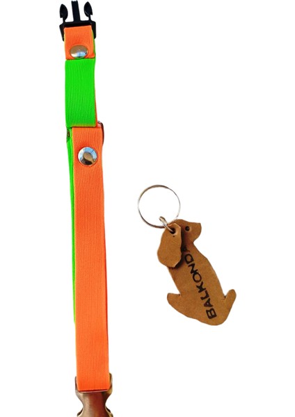 Kedi kolyesi tasma yumuşak fıstık yeşili turuncu kolon genişlik:1,5cm boyun ölçüsü:15-30cm ayarlamalı cat necklace KK3-10