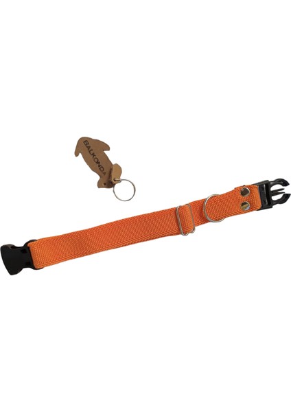 Köpek boyun tasması turuncu yumuşak likralı kolon kalınlık:3mm genişlik:3mm boyun ölçüsü:24-46cm ayarlamalı dog collar T3-11