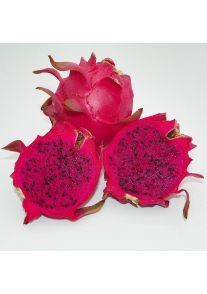 Makisupa (Özel Tür) Ejder Meyvesi Pitaya Fidanı