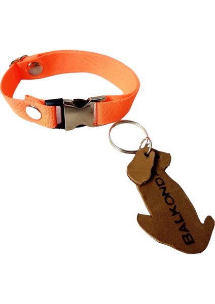 Köpek kolyesi tasma yumuşak turuncu kolon boyun ölçüsü:15-30cm genişlik:1,5cm dog collar T3-2