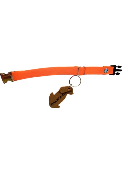 Köpek kolyesi tasma yumuşak turuncu kolon boyun ölçüsü:15-30cm genişlik:1,5cm dog collar T3-2 fiyatları