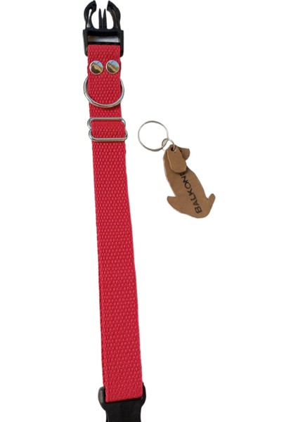 Köpek boyun tasması kırmızı kordon genişlik:2,5cm kalınlık:1mm boyun ölçüsü:24-46cm ayarlanabilir dog collar T3-10