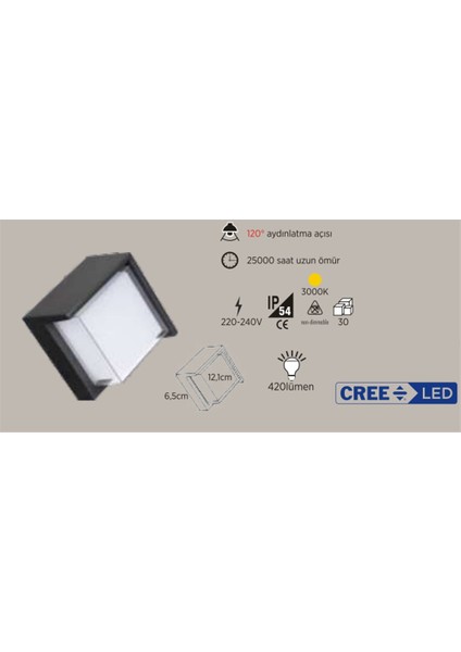 6W Siyah Kasa Dış Mekan Dekoratif (3000K)