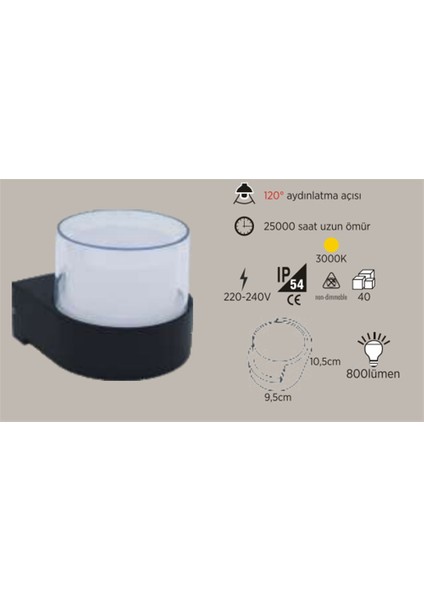 6W Siyah Kasa Dış Mekan Dekoratif (3000K)