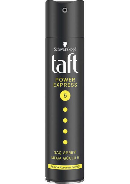 Saç Spreyleri,taft