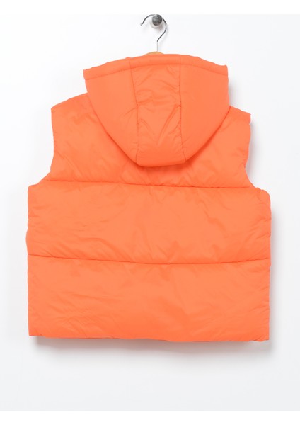 Basic Şişme Yelek Kapüşonlu fiyatları