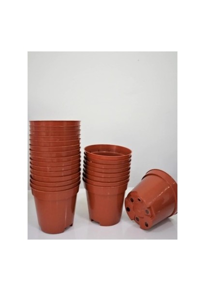 Bahçe Kaktüs & Sukulent Üretim Saksı 8 cm Orta Boy 20 Adet (80X69)