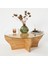 - Amphora Masif Sehpa / Teak 3