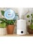 Levoıt Bebekler Için Üstten Doldurma 3l Nemlendirici, Ultrasonik Soğuk Buğu Nemlendirici ve Difüzör, <28DB Sessiz Otomatik Mod, Alexa ve App Ile, Zamanlayıcı, Bpa Free Dual 200S 4