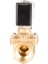 220V AC Genel Maksat Normalde Açık Solenoid Valfler (0,5-16 BAR) 2