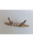 Paslanmaz Saplamalı Tekne Koç Boynuzu 254MM 4