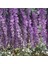 Yapay Çiçek Asma Ratta Asılı Çelenk Ipek Wisteria Çiçekleri (Yurt Dışından) 4