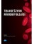 Transfüzyon Mikrobiyolojisi 1
