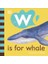W Is For Whale 1