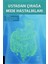 Ustadan Çırağa Mide Hastalıkları 1