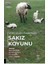 Yerli Kuzu Fabrikası Sakız Koyunu 1