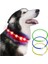 LED Köpek Yaka Yanıp Sönen LED Işık USB Pet Açık Gece Için Şarj Edilebilir (Kırmızı) (Yurt Dışından) 1