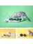 Pet Kedi Kase Otomatik Besleyici Köpek Kedi Gıda Kase Su Çeşmesi ile Çift Kase Içme Kediler Için Yükseltilmiş Standı Çanak Kaseleri | Kedi Besleme ve sulama Malzemeleri (Yurt Dışından) 2