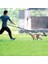 Eller Ücretsiz Köpek Tasma Geri Çekilebilir Bungee Tasma Kurşun Yansıtıcı Çalışma Için Yürüyüş 150 Lbs Büyük Köpekler Dağıtıcı | Tasmalar (Yurt Dışından) 4