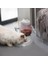 Pet Köpek Kedi Otomatik Besleyici Kase Köpekler Için Içme Su Şişesi Kitten Kaseler Gıda Besleme Konteyner Malzemeleri | Kedi Besleme ve sulama Malzemeleri (Yurt Dışından) 2