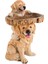 Yavru Kuş Banyosu Polyresin El Yapımı Peri Bahçe Birdbath Kuş Besleyici Açık Ev Bahçe Backyard Çim Bahçesi Süslemeleri | Kuş Beslemesi (Yurt Dışından) 2