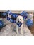 Mutlu Doğum Günü Malzemeleri Balon Şapka Parti Tema Dekorasyon Boy Pet Köpek Seti Için | Köpek Aksesuarları (Yurt Dışından) 3