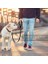 Kafalık Köpek Araba Emniyet Kemer Anti Şok Elastik Bungee Tampon Ayarlanabilir Dayanıklı Kafalık Emniyet Kemeri Pet Köpek Araba Emniyet Koşum Kısıtlama? 2 Paket (Yurt Dışından) 3