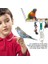 Set Papağan Kuşlar Oyuncak Kiti Köprü Aksesuarları Kuş Oyuncak Ayakta Eğitim Pet Aracı | Kuş Oyuncakları (Yurt Dışından) 4