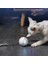LED Işık Kedi Oyuncak Tüy Elektronik Interaktif Akıllı Top Pet Ürünleri Aksesuarlar Kedi Oyuncaklar Için Ilginç Ürünler | Kedi Oyuncakları (Yurt Dışından) 2