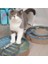 Kedi Oyuncaklar Kedi Kazı Tahta Pençe Değirmeni Oluklu Kağıt Kedi Malzemeleri Giymek Dayanıklı Scratcher | Mobilya ve çizikler (Yurt Dışından) 3