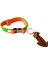 Kedi kolyesi tasma yumuşak fıstık yeşili turuncu kolon genişlik:1,5cm boyun ölçüsü:15-30cm ayarlamalı cat necklace KK3-10 1