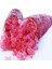 Meyve Verme Yaşında Tüplü Havyar Limon Mia Rose Finger Lime Fidanı 4